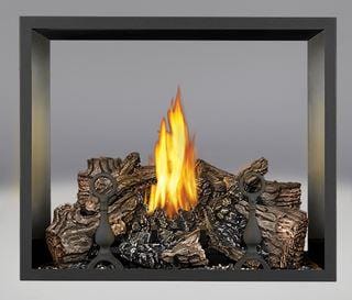 Napoleon High Definition 81 See-Thru Gas Fireplace