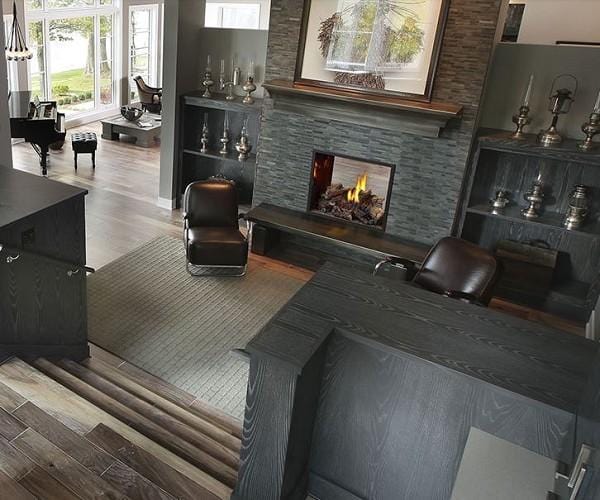 Napoleon High Definition 81 See-Thru Gas Fireplace - Image 4