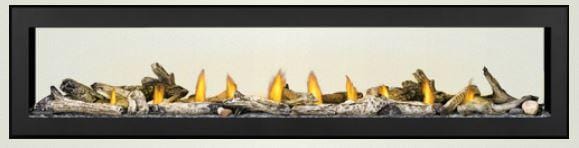 Napoleon Vector 38 See-Thru Direct-Vent Gas Fireplace