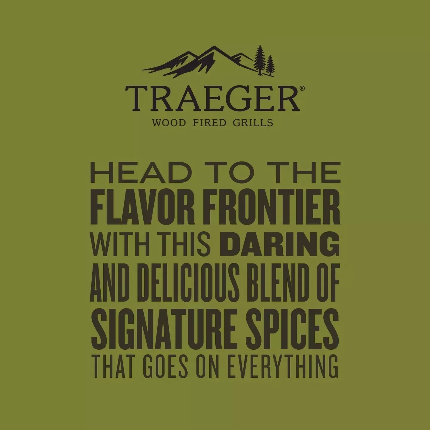 Traeger Blackened Saskatchewan Rub (12.5 OZ) - SPC288 - Image 6