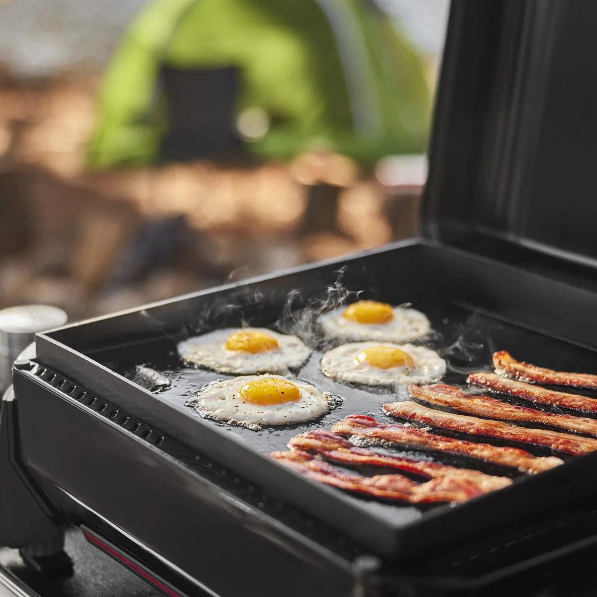 Weber Traveler 17" Portable Griddle - Image 12